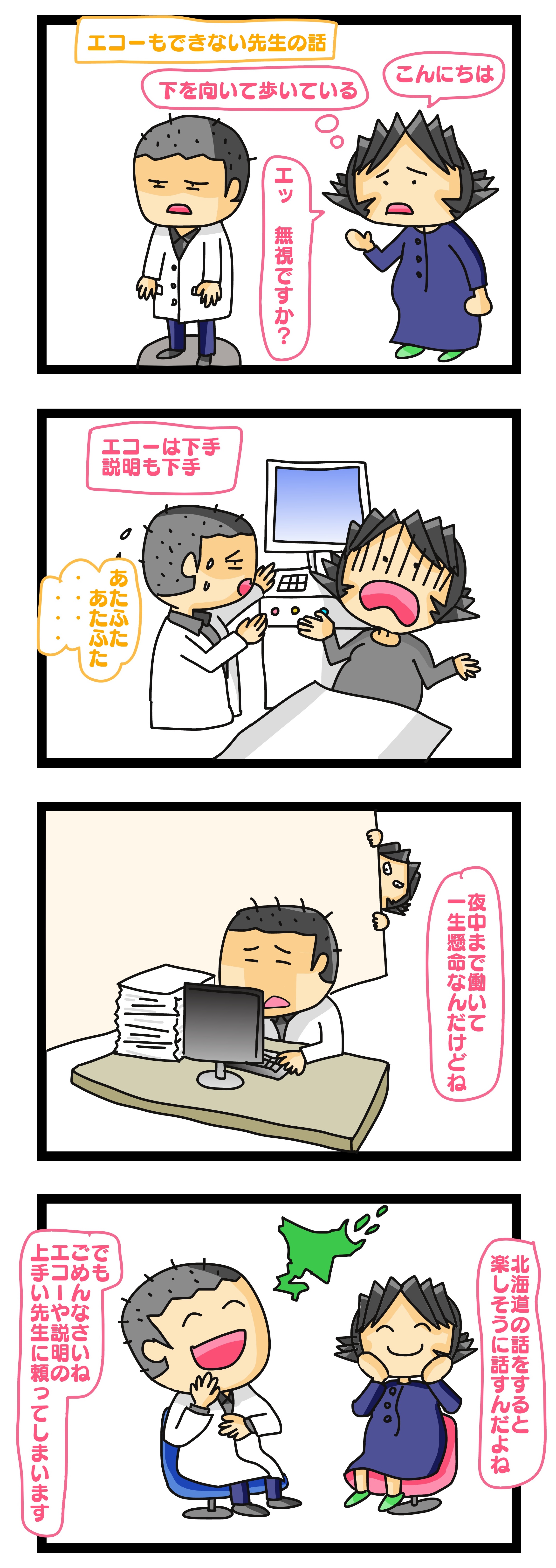 エコー 下手な先生,エコー写真 下手